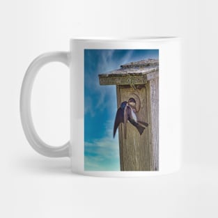 Tree Swallows At Nest Box Mug